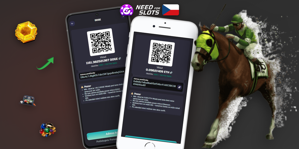 Need for Slots výběr: formulář s volbou metody, částkou a potvrzovacím tlačítkem